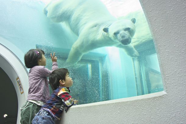 静岡市立 日本平動物園 | 公益財団法人 駿東勤労者福祉サービスセンター ベネフィ駿東(すんとう)